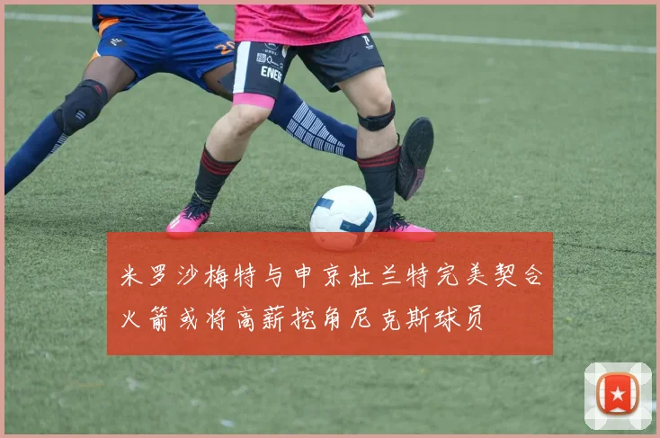 米罗沙梅特与申京杜兰特完美契合火箭或将高薪挖角尼克斯球员
