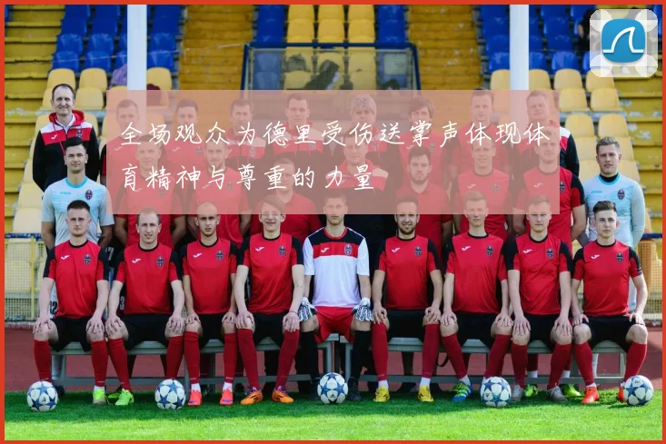 全场观众为德里受伤送掌声体现体育精神与尊重的力量